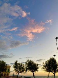 Low angle view of silhouette trees against sky