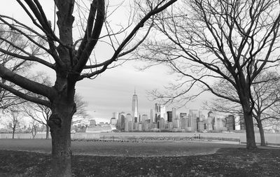 View of trees in city