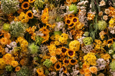 Full frame shot of yellow flowering plants