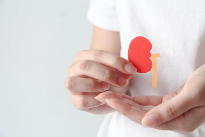 Cropped hand holding heart shape against white background