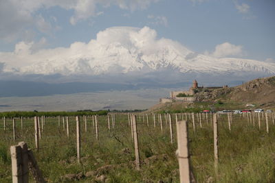 Scenic view of landscape against sky