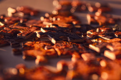 Close-up of autumn leaf on barbecue grill