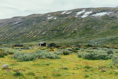 Scenic view of mountains against sky