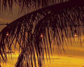 Silhouette palm trees against sky during sunset, and string of light bulbs