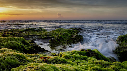 Scenic view of sea against sky during sunset