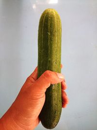 Close-up of hand holding leaf