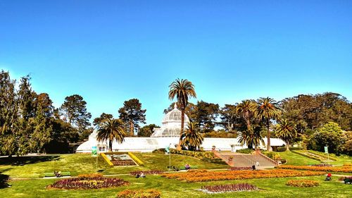 Scenic view of grassy field against blue sky