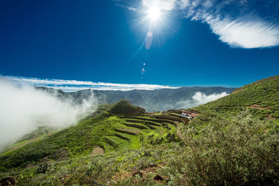 Scenic view of landscape against blue sky