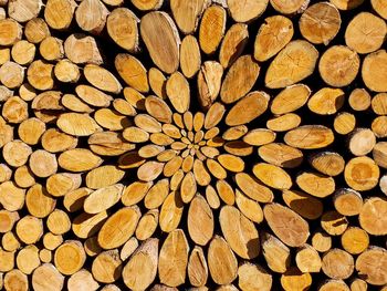 Full frame shot of logs in forest