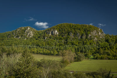 Scenic view of landscape against clear blue sky