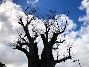 Low angle view of bare tree against sky