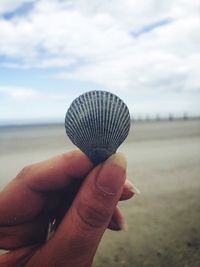 Close-up of hand holding shell against sky