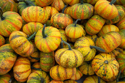 Full frame shot of fruits for sale at market stall