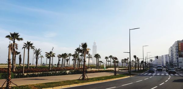 Street by palm trees against sky