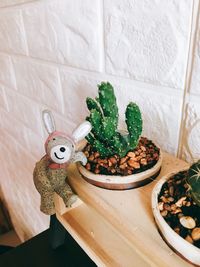 High angle view of fresh green table