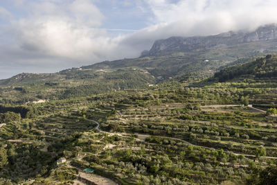 Scenic view of landscape against sky