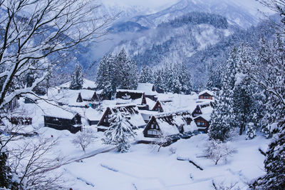 Snow covered trees and buildings against sky