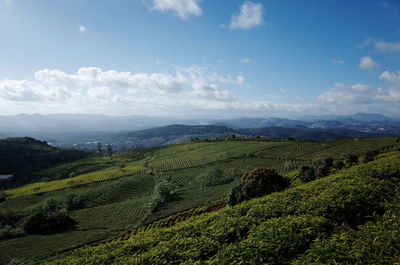 Scenic view of landscape against sky