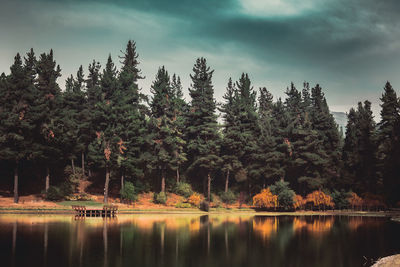 Scenic view of lake by trees in forest against sky