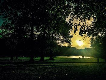 Silhouette of trees on landscape at sunset