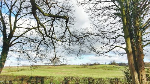 Scenic view of field against sky