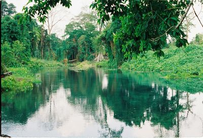 Scenic view of lake