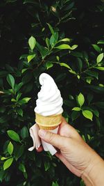 Midsection of person holding ice cream cone