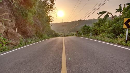 Surface level of empty road along trees