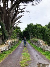 Rear view of woman walking on road amidst trees