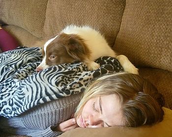 Dog sleeping on sofa at home