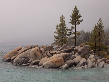 Scenic view of landscape with rocks in background