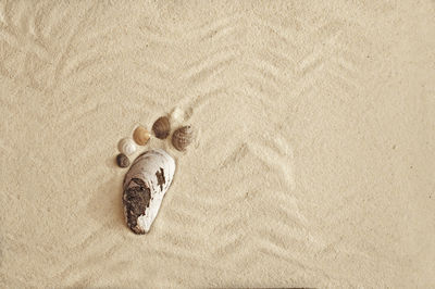 High angle view of stuffed toy on sand