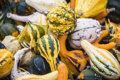 Full frame shot of pumpkins for sale at market stall