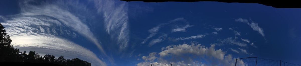 Low angle view of silhouette trees against blue sky