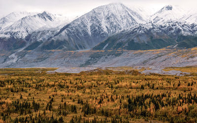 Scenic view of snowcapped mountains against sky