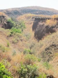 Scenic view of landscape