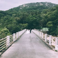 Man walking on road amidst trees against sky