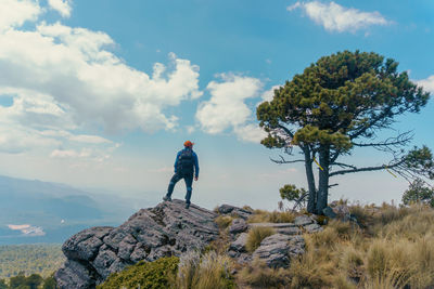 Rear view of man standing on mountain against sky