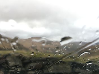 Close-up of wet leaves against sky