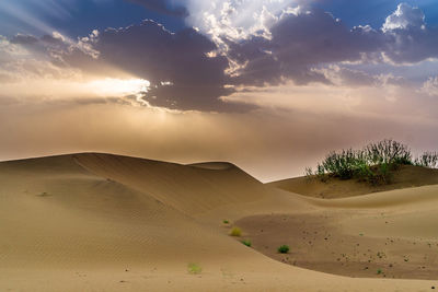 Scenic view of desert against sky during sunset