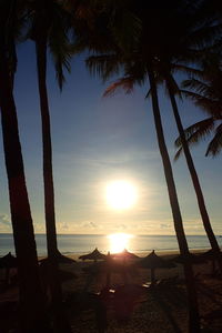 Silhouette palm trees on beach against sky during sunset