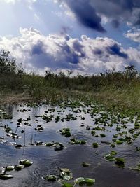 Scenic view of lake against sky