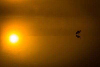 View of yellow flying in sky during sunset