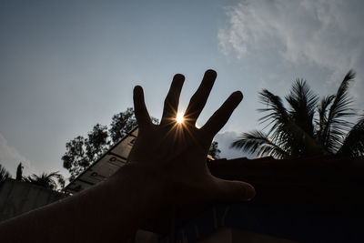 Cropped image of hand against trees during sunset