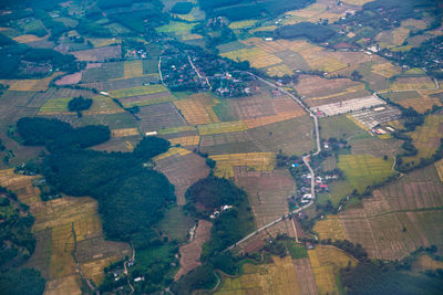 Aerial view of agricultural field