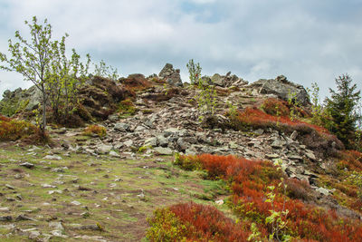 Scenic view of rocky landscape against sky