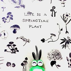 Close-up of tree over white background