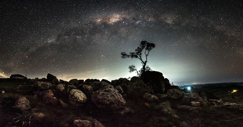 Low angle view of trees against sky at night