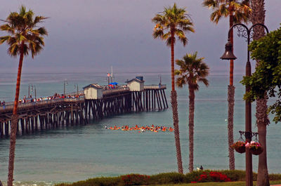 High angle view of pier in sea