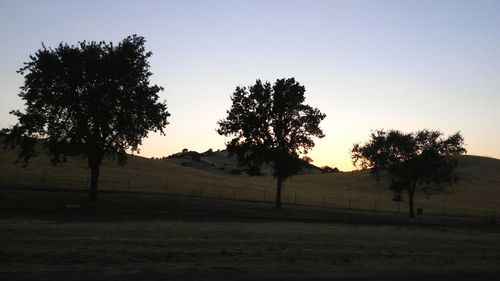 Silhouette of trees on field against sky